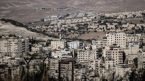 mzamin