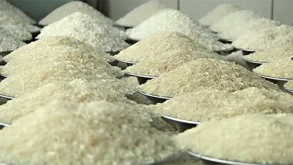mzamin
